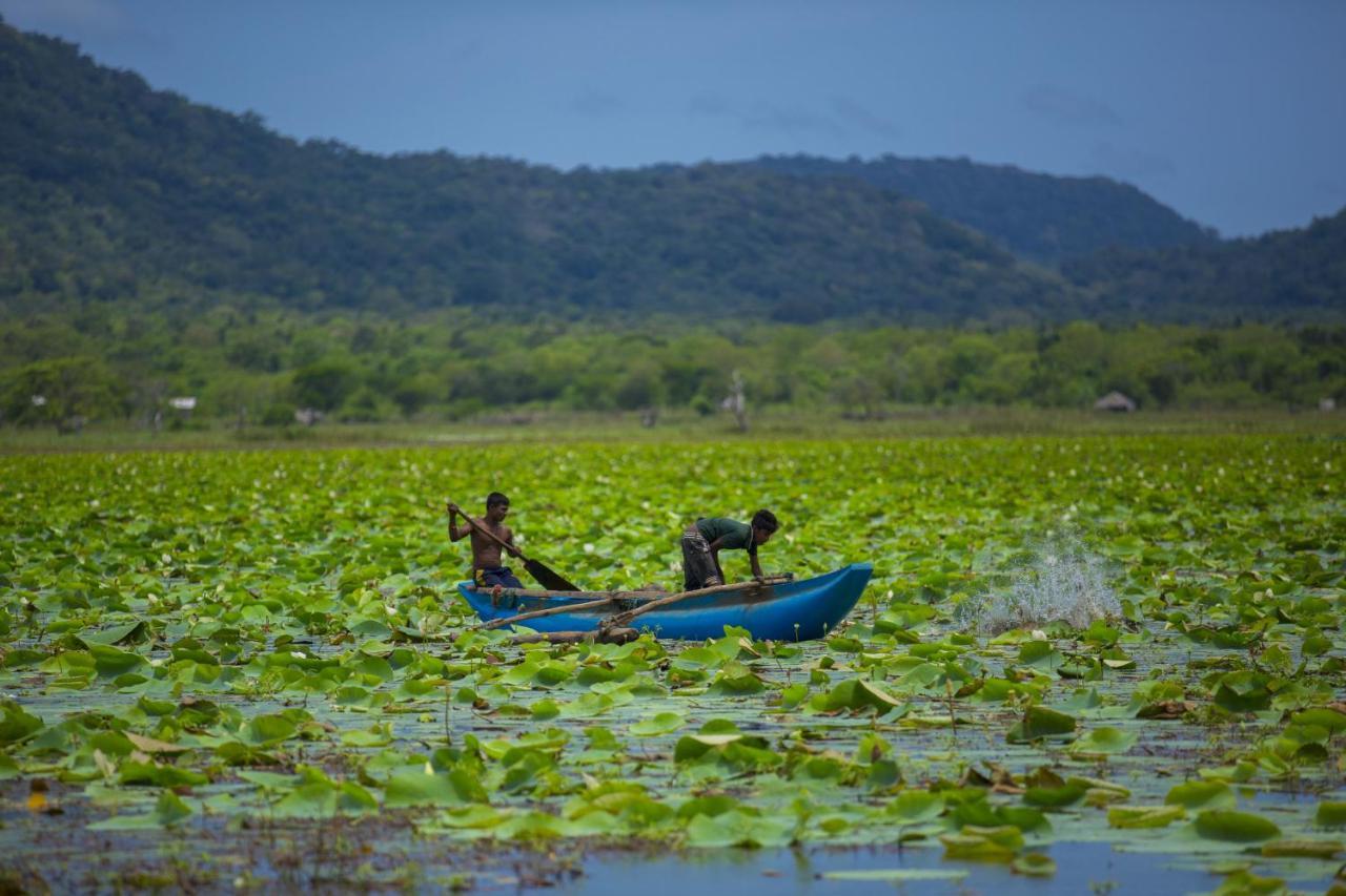 Grand Tamarind Lake Kataragama Εξωτερικό φωτογραφία