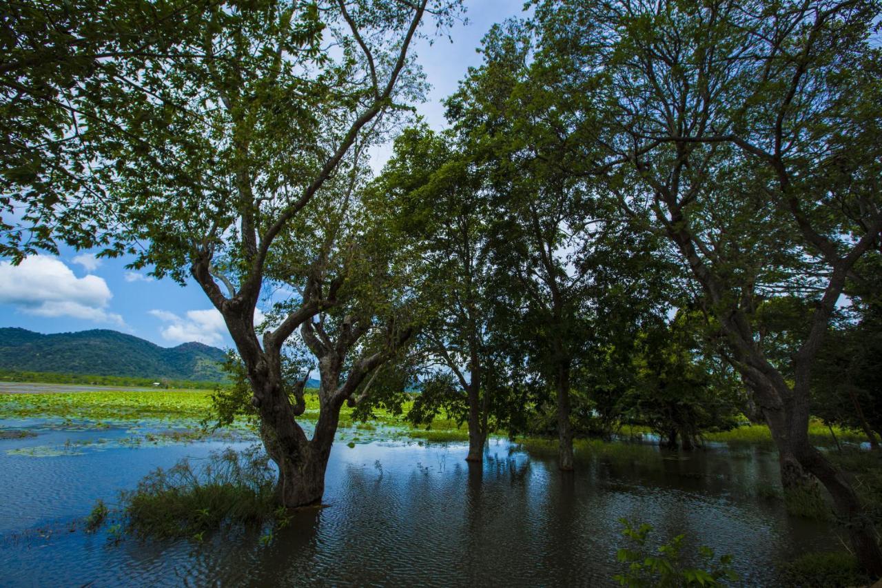 Grand Tamarind Lake Kataragama Εξωτερικό φωτογραφία